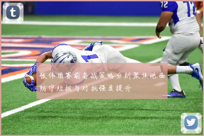 张伟丽赛前备战策略分析聚焦地面防守短板与对抗强度提升