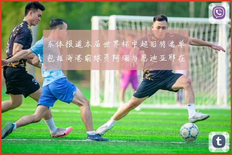 东体报道本届世界杯中超旧将名单包括海港前球员阿瑙与恩迪亚耶在内的10位球员